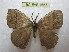  ( - BC-EvS 1665)  @13 [ ] Copyright (2010) Eric Van Schayck Research Collection of Eric Van Schayck