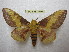  ( - BC-EvS 1696)  @14 [ ] Copyright (2010) Eric Van Schayck Research Collection of Eric Van Schayck