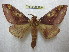  ( - BC-EvS 1704)  @11 [ ] Copyright (2010) Eric Van Schayck Research Collection of Eric Van Schayck