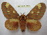  ( - BC-EvS 1823)  @14 [ ] Copyright (2010) Eric Van Schayck Research Collection of Eric Van Schayck
