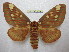  ( - BC-EvS 1824)  @13 [ ] Copyright (2010) Eric Van Schayck Research Collection of Eric Van Schayck