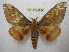  ( - BC-EvS 1832)  @14 [ ] Copyright (2010) Eric Van Schayck Research Collection of Eric Van Schayck