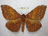  ( - BC-EvS 1839)  @14 [ ] Copyright (2010) Eric Van Schayck Research Collection of Eric Van Schayck