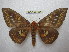  ( - BC-EvS 1840)  @14 [ ] Copyright (2010) Eric Van Schayck Research Collection of Eric Van Schayck