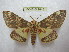  ( - BC-EvS 1843)  @11 [ ] Copyright (2010) Eric Van Schayck Research Collection of Eric Van Schayck