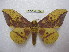  ( - BC-EvS 1878)  @14 [ ] Copyright (2010) Eric Van Schayck Research Collection of Eric Van Schayck