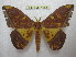  ( - BC-EvS 1884)  @11 [ ] Copyright (2010) Eric Van Schayck Research Collection of Eric Van Schayck