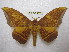  ( - BC-EvS 1887)  @14 [ ] Copyright (2010) Eric Van Schayck Research Collection of Eric Van Schayck