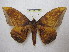  ( - BC-EvS 1888)  @14 [ ] Copyright (2010) Eric Van Schayck Research Collection of Eric Van Schayck