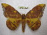  ( - BC-EvS 1890)  @14 [ ] Copyright (2010) Eric Van Schayck Research Collection of Eric Van Schayck
