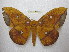  ( - BC-EvS 1895)  @14 [ ] Copyright (2010) Eric Van Schayck Research Collection of Eric Van Schayck