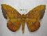  ( - BC-EvS 1896)  @14 [ ] Copyright (2010) Eric Van Schayck Research Collection of Eric Van Schayck