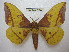  ( - BC-EvS 1938)  @14 [ ] Copyright (2010) Eric Van Schayck Research Collection of Eric Van Schayck