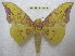  ( - BC-EvS 1949)  @14 [ ] Copyright (2010) Eric Van Schayck Research Collection of Eric Van Schayck