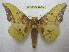 ( - BC-EvS 1950)  @14 [ ] Copyright (2010) Eric Van Schayck Research Collection of Eric Van Schayck