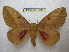  ( - BC-EvS 1993)  @14 [ ] Copyright (2010) Eric Van Schayck Research Collection of Eric Van Schayck