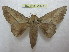  ( - BC-EvS 2021)  @11 [ ] Copyright (2010) Eric Van Schayck Research Collection of Eric Van Schayck