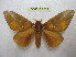  ( - BC-EvS 2029)  @14 [ ] Copyright (2010) Eric Van Schayck Research Collection of Eric Van Schayck