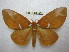  ( - BC-EvS 2035)  @14 [ ] Copyright (2010) Eric Van Schayck Research Collection of Eric Van Schayck