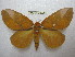  ( - BC-EvS 2036)  @14 [ ] Copyright (2010) Eric Van Schayck Research Collection of Eric Van Schayck