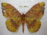  ( - BC-EvS 2043)  @14 [ ] Copyright (2010) Eric Van Schayck Research Collection of Eric Van Schayck