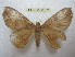  ( - BC-EvS 2052)  @13 [ ] Copyright (2010) Eric Van Schayck Research Collection of Eric Van Schayck