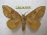  ( - BC-EvS 2053)  @14 [ ] Copyright (2010) Eric Van Schayck Research Collection of Eric Van Schayck