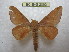  ( - BC-EvS 2063)  @13 [ ] Copyright (2010) Eric Van Schayck Research Collection of Eric Van Schayck