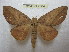  ( - BC-EvS 2064)  @14 [ ] Copyright (2010) Eric Van Schayck Research Collection of Eric Van Schayck