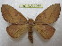  ( - BC-EvS 2065)  @14 [ ] Copyright (2010) Eric Van Schayck Research Collection of Eric Van Schayck