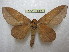  ( - BC-EvS 2069)  @11 [ ] Copyright (2010) Eric Van Schayck Research Collection of Eric Van Schayck