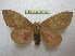  ( - BC-EvS 2072)  @11 [ ] Copyright (2010) Eric Van Schayck Research Collection of Eric Van Schayck