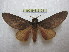  ( - BC-EvS 2103)  @13 [ ] Copyright (2010) Eric Van Schayck Research Collection of Eric Van Schayck