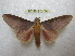  ( - BC-EvS 2104)  @14 [ ] Copyright (2010) Eric Van Schayck Research Collection of Eric Van Schayck
