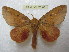 ( - BC-EvS 2126)  @13 [ ] Copyright (2010) Eric Van Schayck Research Collection of Eric Van Schayck