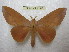  ( - BC-EvS 2128)  @13 [ ] Copyright (2010) Eric Van Schayck Research Collection of Eric Van Schayck