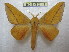  ( - BC-EvS 2141)  @14 [ ] Copyright (2010) Eric Van Schayck Research Collection of Eric Van Schayck