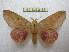  ( - BC-EvS 2185)  @14 [ ] Copyright (2010) Eric Van Schayck Research Collection of Eric Van Schayck