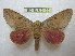  ( - BC-EvS 2192)  @14 [ ] Copyright (2010) Eric Van Schayck Research Collection of Eric Van Schayck