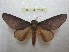  ( - BC-EvS 2195)  @12 [ ] Copyright (2010) Eric Van Schayck Research Collection of Eric Van Schayck