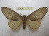  ( - BC-EvS 2207)  @14 [ ] Copyright (2010) Eric Van Schayck Research Collection of Eric Van Schayck