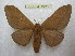  ( - BC-EvS 2219)  @13 [ ] Copyright (2010) Eric Van Schayck Research Collection of Eric Van Schayck