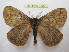  ( - BC-EvS 2223)  @14 [ ] Copyright (2010) Eric Van Schayck Research Collection of Eric Van Schayck