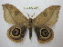 ( - BC-EvS 2250)  @14 [ ] Copyright (2010) Eric Van Schayck Research Collection of Eric Van Schayck