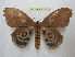  ( - BC-EvS 2255)  @13 [ ] Copyright (2010) Eric Van Schayck Research Collection of Eric Van Schayck