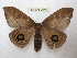  ( - BC-EvS 2646)  @13 [ ] Copyright (2012) Eric van Schayck Research Collection of Eric Van Schayck