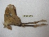  ( - BC-EvS 2977)  @12 [ ] Copyright (2012) Eric van Schayck Research Collection of Eric Van Schayck