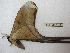  ( - BC-EvS 2978)  @12 [ ] Copyright (2012) Eric van Schayck Research Collection of Eric Van Schayck