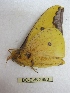  ( - BC-EvS 2983)  @12 [ ] Copyright (2012) Eric van Schayck Research Collection of Eric Van Schayck