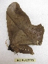  ( - BC-EvS 2989)  @12 [ ] Copyright (2012) Eric van Schayck Research Collection of Eric Van Schayck